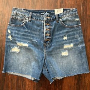 INC Regular High Rise Shorts